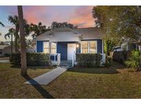 Charming blue home featuring a manicured lawn and pathway leading to the front door at 502 W Hanna Ave, Tampa, FL 33604