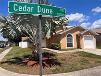 Charming single-Gathering home featuring a well-manicured lawn and a bright, stucco exterior at 10102 Cedar Dune Dr, Tampa, FL 33624