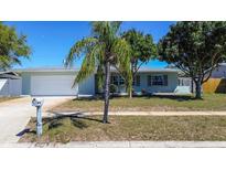 Charming single-story home featuring a well-manicured lawn and beautiful landscaping at 10915 Hammock Dr, Largo, FL 33774