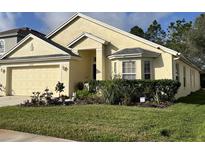 Charming single-story home featuring a well-manicured lawn and beautiful landscaping at 3207 Sunwatch Dr, Wesley Chapel, FL 33544