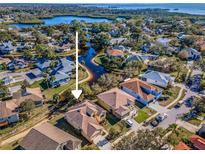 Stunning aerial view of home with lake and waterfront access in a beautiful, serene community at 1010 Blue Heron Way, Tarpon Springs, FL 34689