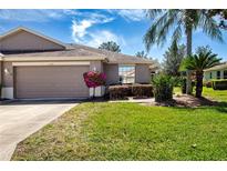 Charming single-story home boasts a well-manicured lawn, mature landscaping, and a two-car garage at 1020 New Winsor Loop # 46, Sun City Center, FL 33573
