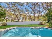 Inviting pool area features clear blue water and mature trees, perfect for relaxation at 230 Lotus Dr, Safety Harbor, FL 34695