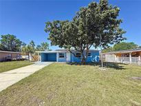 Charming blue home featuring a covered carport and a large tree in the front yard at 4716 Town N Country Blvd, Tampa, FL 33615