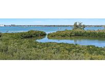Panoramic water views surround the home, creating a relaxing and picturesque environment at 4801 Osprey S Dr # 404, St Petersburg, FL 33711