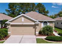 Charming single-Gathering home featuring a two-car garage, manicured lawn and tasteful landscaping at 23717 Coral Ridge Ln, Land O Lakes, FL 34639