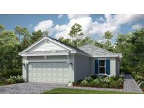Charming single-Gathering home featuring a two-car garage, well-maintained lawn, and beautiful landscaping at 29505 Velletri Ln, Wesley Chapel, FL 33543
