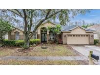 Inviting single-Gathering home featuring manicured landscaping, a two-car garage, and an inviting front entrance at 19223 Wind Dancer St, Lutz, FL 33558