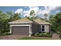 Charming home with a well-maintained lawn, a two-car garage, and manicured landscaping at 29513 Velletri Ln, Wesley Chapel, FL 33543