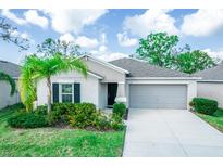 Charming single-story home with a well-manicured lawn, a two-car garage, and lush landscaping at 17113 Sunshine Mimosa St, Wimauma, FL 33598