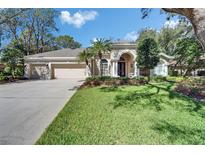 Charming single-story home with a lush, well-manicured lawn and a three-car garage at 5611 Eagleglen Pl, Lithia, FL 33547