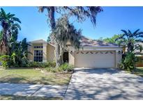 Charming home featuring a two-car garage, lush landscaping, and mature trees at 2542 Clareside Dr, Valrico, FL 33596
