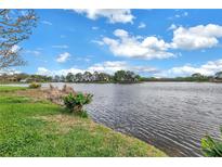 Scenic view of the tranquil lake, showcasing the property's serene and picturesque waterfront location at 540 Somerhill Ne Dr, St Petersburg, FL 33716