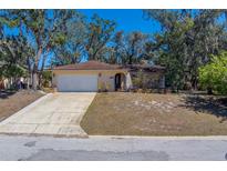 Charming single-story home featuring a two-car garage and a well-maintained front yard under mature trees at 8740 Forest Lake Dr, Port Richey, FL 34668
