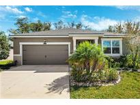 Charming single-story home featuring a well-manicured lawn and attached two-car garage at 13001 Satin Lily Dr, Riverview, FL 33579