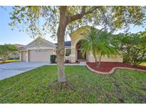 Charming single-Gathering home showcasing a well-manicured lawn, mature trees, and a welcoming two-car garage at 13719 Artesa Bell Dr, Riverview, FL 33579
