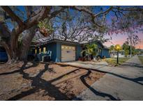 Charming exterior view of home featuring a garage, mature tree, and well-maintained yard at 725 Philippe Pkwy, Safety Harbor, FL 34695
