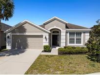 Charming single-story home featuring a two-car garage, manicured lawn, and a welcoming front entrance at 7326 Blue Beech Dr, Riverview, FL 33578