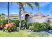 Charming home featuring lush landscaping, a well-manicured lawn, and a welcoming entrance beneath mature palms at 1915 Fellsway Ct, Wesley Chapel, FL 33543