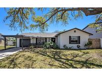 Charming single-story home with a carport and well-maintained front yard landscaping and mature shade tree at 7716 W Hiawatha St, Tampa, FL 33615