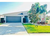 Charming single-story home featuring a well-maintained lawn, manicured landscaping, and a two-car garage at 10105 Paradise Fish Dr, Riverview, FL 33578