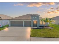 Beautiful single-Gathering home with a well-kept lawn and a spacious three-car garage at 13538 Willow Bluestar Loop, Riverview, FL 33579