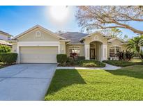 Charming single-story home with a well-manicured lawn, lush landscaping, and a two-car garage at 412 Pinewood Dr, Oldsmar, FL 34677