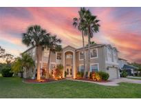 Stunning two-story home with a well-manicured lawn, lush landscaping and gorgeous palm trees at 15618 Shoal Creek Pl, Odessa, FL 33556