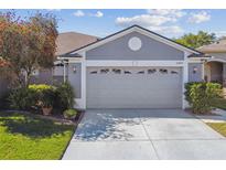 Home featuring a two-car garage with an expansive driveway, complemented by lush landscaping and manicured lawn at 31820 Blythewood Way, Wesley Chapel, FL 33543