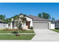 Well-maintained single-story home with a neat lawn, gray garage door, and freshly planted landscaping at 13355 Willow Bluestar Loop, Riverview, FL 33579