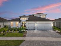 Beautiful two-story home boasts a paver driveway, lush landscaping, and a charming entryway with double doors at 6185 Hidden Branch Dr, Apollo Beach, FL 33572