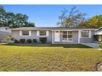 Charming single-story home with well-maintained lawn and exterior, complemented by lush landscaping at 6712 Runningwoods Dr, Tampa, FL 33634