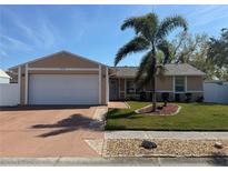 Charming single-story home with a well-manicured lawn and mature palm tree at 3120 Dole St, Holiday, FL 34691