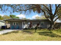 Charming single-story home featuring a manicured lawn, beautiful tree, and cozy front porch with blue chairs at 337 Shore E Dr, Oldsmar, FL 34677