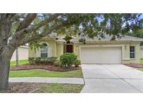Charming single-story home featuring a well-manicured lawn and a two-car garage at 4515 Fieldview Cir, Wesley Chapel, FL 33545