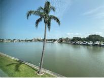 Scenic water view with a palm tree in the foreground and boats docked along the shoreline at 5935 30Th S Ave # 204, Gulfport, FL 33707