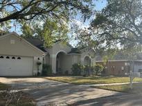 Charming single-story home featuring an attached two-car garage and a well-manicured lawn at 9636 Greenbank Dr, Riverview, FL 33569