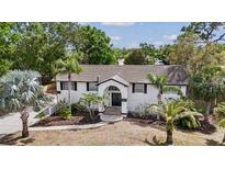 Charming single-story home with a well-manicured lawn, palm trees, and a welcoming front entrance at 1037 Jamaica Way, Tarpon Springs, FL 34689