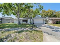 Charming single-story home with a well-maintained lawn and mature trees, providing curb appeal at 3219 Spanish Moss Ln, Palm Harbor, FL 34684