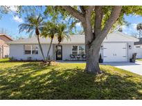 Charming single-story home featuring well-manicured lawn, fresh gray paint, and mature landscaping at 3352 Honeymoon Ln, Holiday, FL 34691