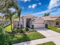 Charming single-story home with a well-maintained lawn and colorful landscaping at 20352 Falling Rock Dr, Land O Lakes, FL 34638