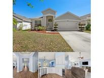 Charming single-story home boasts a manicured lawn and two-car garage, complemented by lush landscaping at 11009 Silver Dancer Dr, Riverview, FL 33579