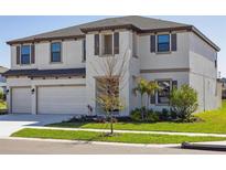 Two-story home with a three car garage, manicured lawn and a neutral color palette at 5335 Wolf Creek Dr, Apollo Beach, FL 33572