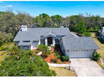 Desirable property featuring meticulous landscaping, a two-car garage, and elegant architectural details in a serene setting at 2910 Pine Club Dr, Plant City, FL 33566