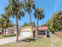 Charming single-story home featuring a white garage door, palm trees, and a well-manicured lawn at 5433 Palmetto Rd, New Port Richey, FL 34652
