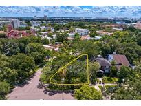 An aerial view showcases a residential neighborhood with lush trees, and a yellow outline highlights the property lines at 43 Aegean Ave, Tampa, FL 33606