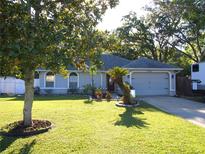 Charming single-story home featuring a well-manicured lawn and mature trees at 6701 Medlar Dr, New Port Richey, FL 34653
