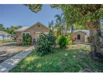Lovely single-story house with lush greenery and manicured landscaping leading to a cozy front entrance at 8719 N Ola Ave, Tampa, FL 33604