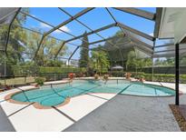 Screened-in pool with stone garden beds and a view of the backyard at 20315 Mid Ct, Lutz, FL 33558