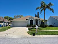 Attractive single-story home featuring a two-car garage, a palm tree, and lush green landscaping at 29123 Crossland Dr, Wesley Chapel, FL 33543